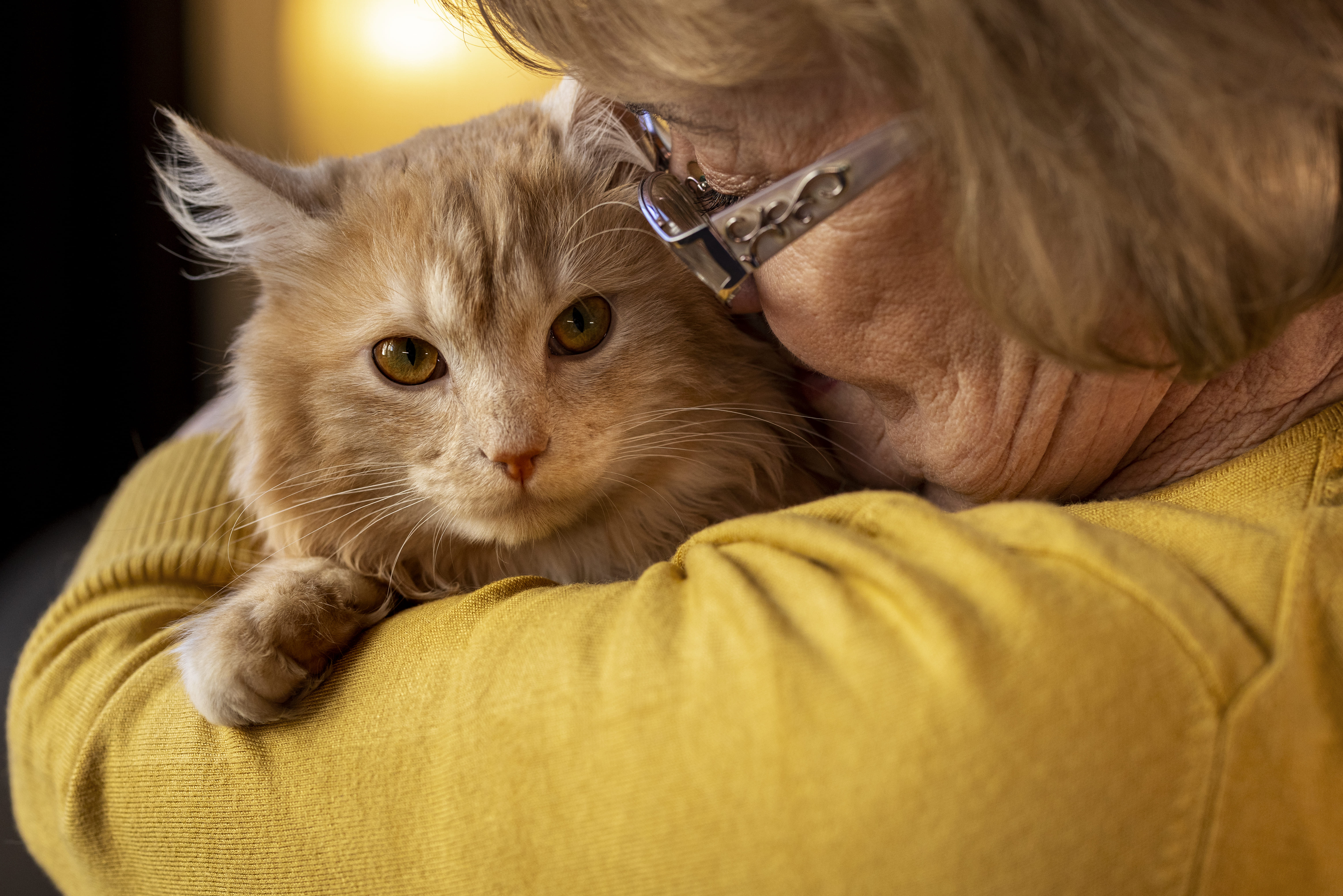 elderly-person-with-pet-cat (1).jpg